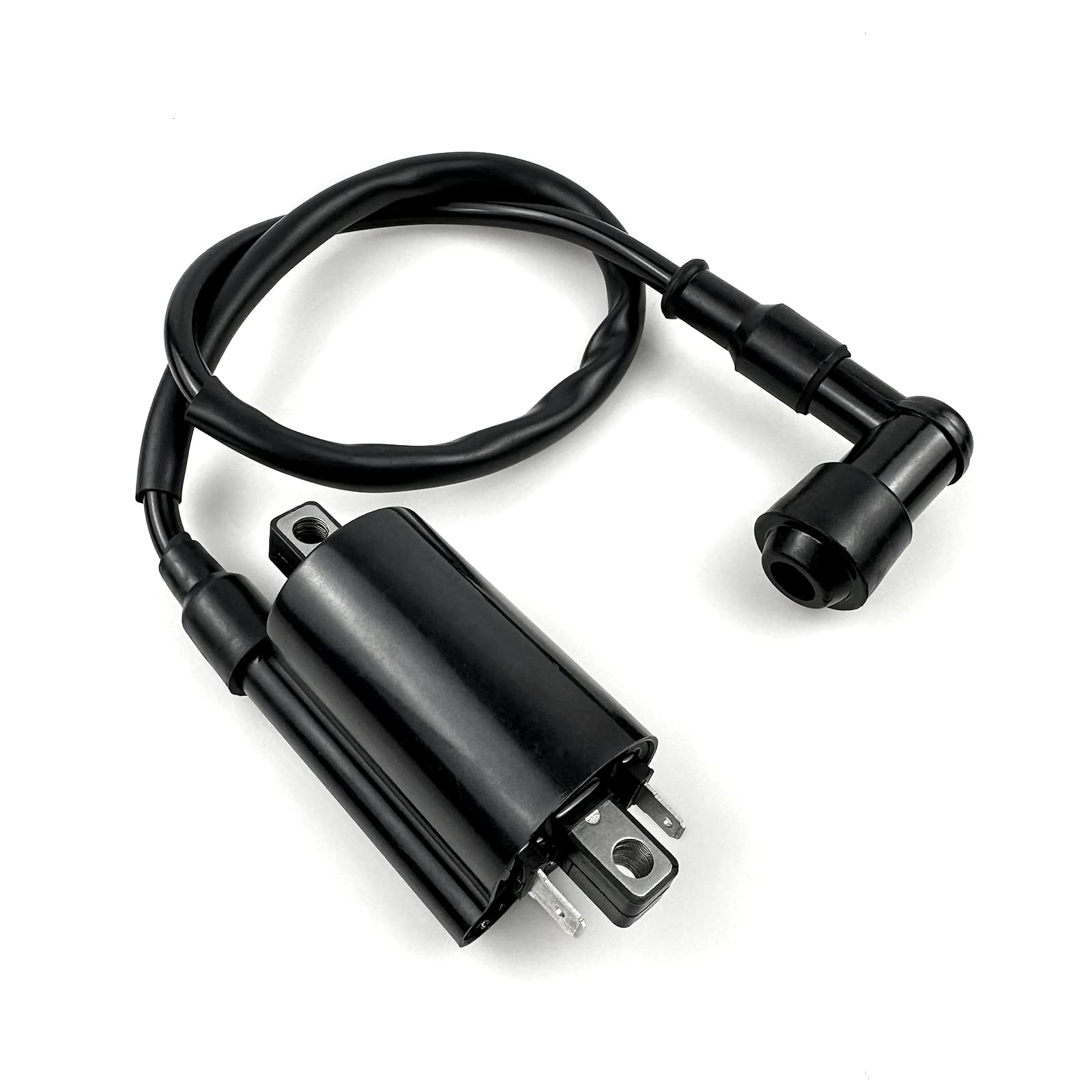 Amazon.com: Igniter CDI Box Ignition Coil Spark Plug For